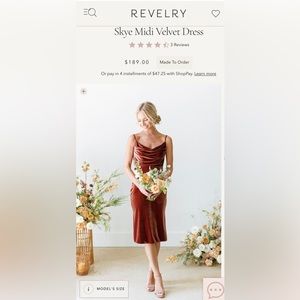 Revelry Skye Midi Dress - Blush Velvet (604) - Size 6